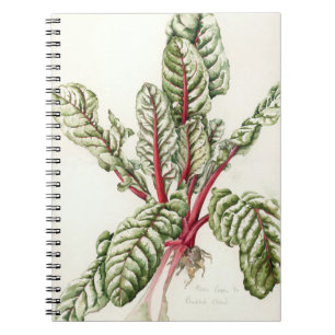 Rhubarb Chard 1992 Spiral Notebook