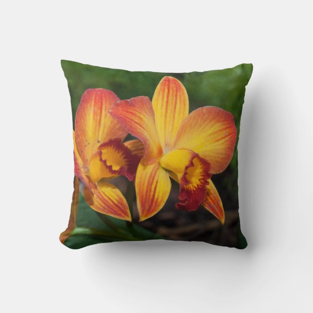 Rhyncattleanthe Love Tapestry Cushion (Front)