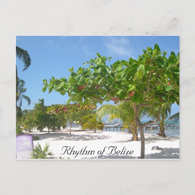 Rhythm of Belise Postcard (Front)