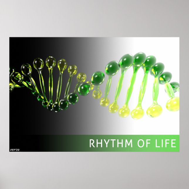 Rhythm of Life Poster (Front)