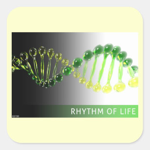 Rhythm of Life Square Sticker