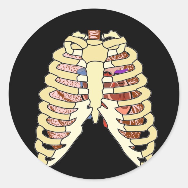 Rib Cage Lungs & Heart Classic Round Sticker (Front)