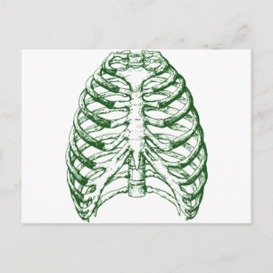 Rib Cage Postcard