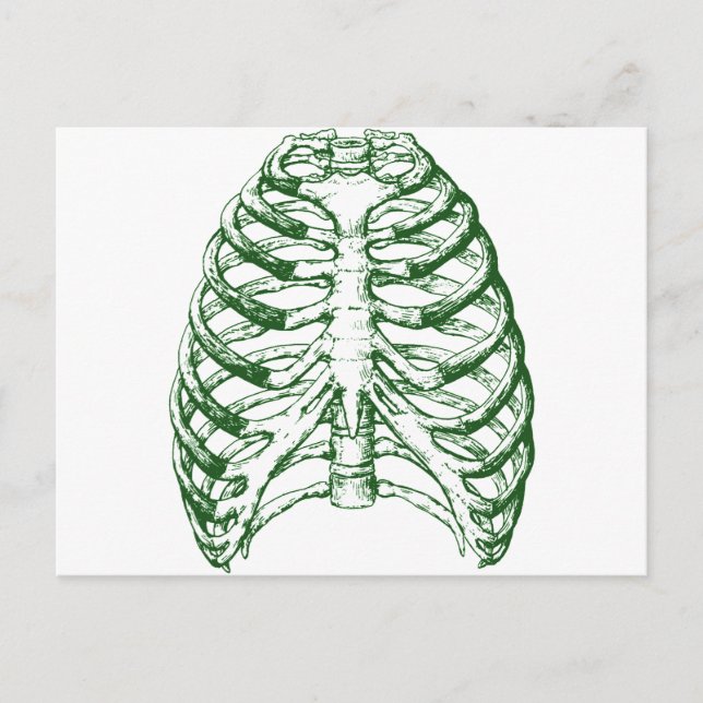 Rib Cage Postcard (Front)