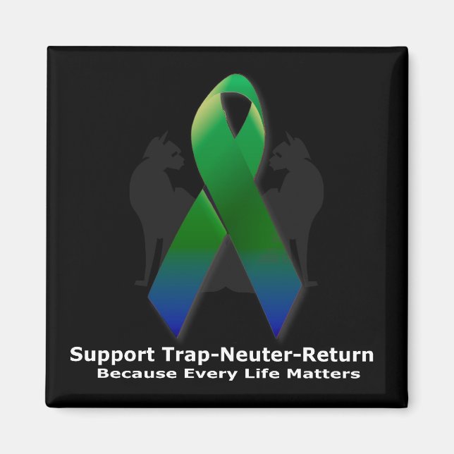 Ribbon of hope magnet (Front)