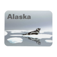 Ribbon Seal On Ice
