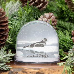 Ribbon Seal On Ice Snowglobe