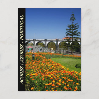 Ribeira Grande gardens Postcard