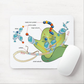 Ribosome mRNA tRNA molecules proteins Diagram Mouse Pad
