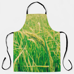 Rice field in rural and fresh,  vintage styleabstr apron