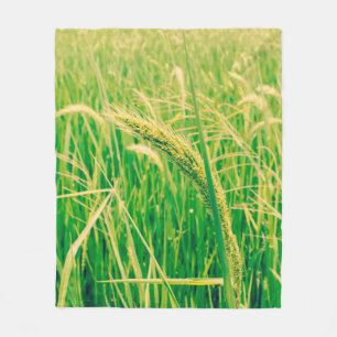 Rice field in rural and fresh, vintage styleabstr fleece blanket