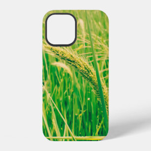 Rice field in rural and fresh, vintage styleabstr iPhone 12 case