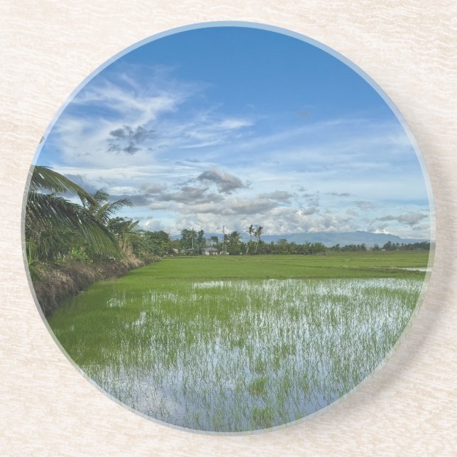 Rice field under a blue sky	 coaster (Front)
