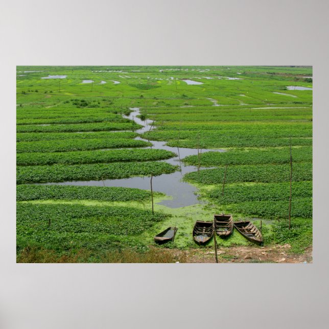 rice fields in cambodia poster (Front)