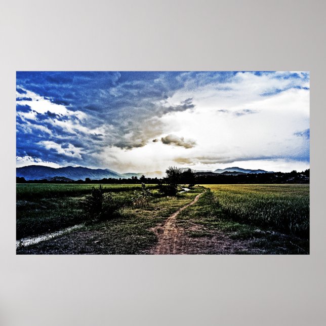 Rice fields on the way poster (Front)