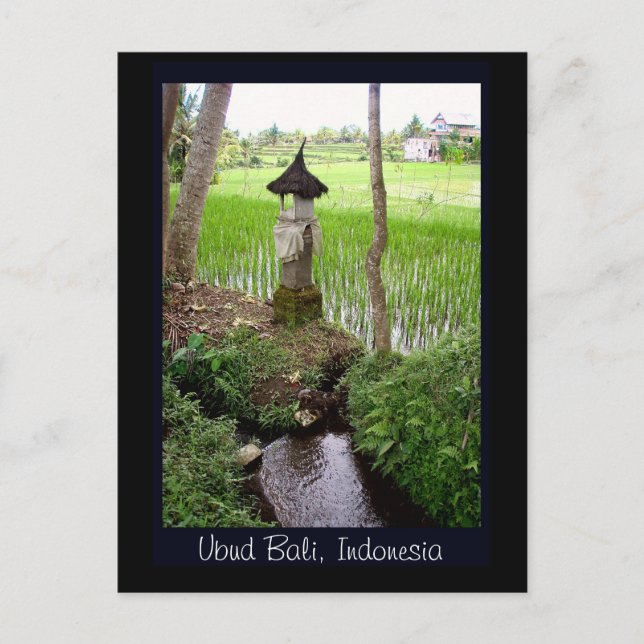 Rice Paddy, Temple, Ubud Bali, Indonesia Postcard (Front)