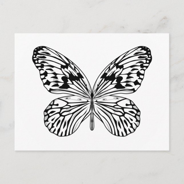 Rice Paper Butterfly Postcard (Front)