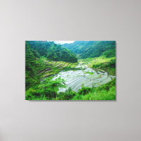 Rice terrace landscape, Philippines