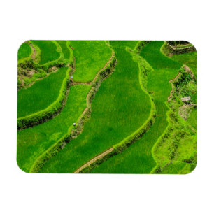 Rice Terraces Magnet
