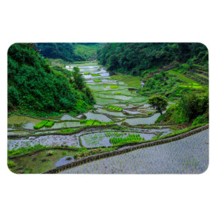 Rice Terraces of Banaue, Luzon Magnet