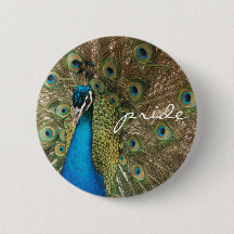 Rich Colour Photo of Peacock with "Pride" Message