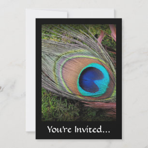 Rich, Elegant Peacock Feather Photograph Invitation