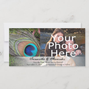 Rich Peacock Feather with Green Moss Save The Date