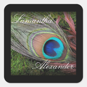 Rich Peacock Feather with Green Moss Square Sticker