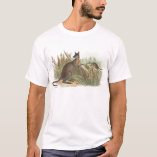 Richard Lydekker - Black-Tailed Wallaby T-Shirt