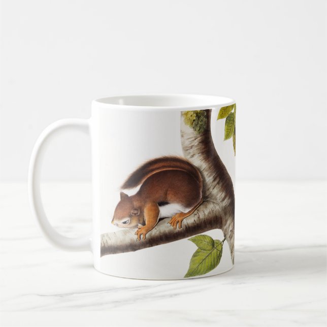 Richardson's Columbian Squirrel Illustration Coffee Mug (Left)