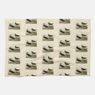 Richardson's Jager from Audubon's Birds of America Tea Towel