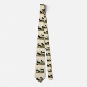 Richardson's Jager from Audubon's Birds of America Tie