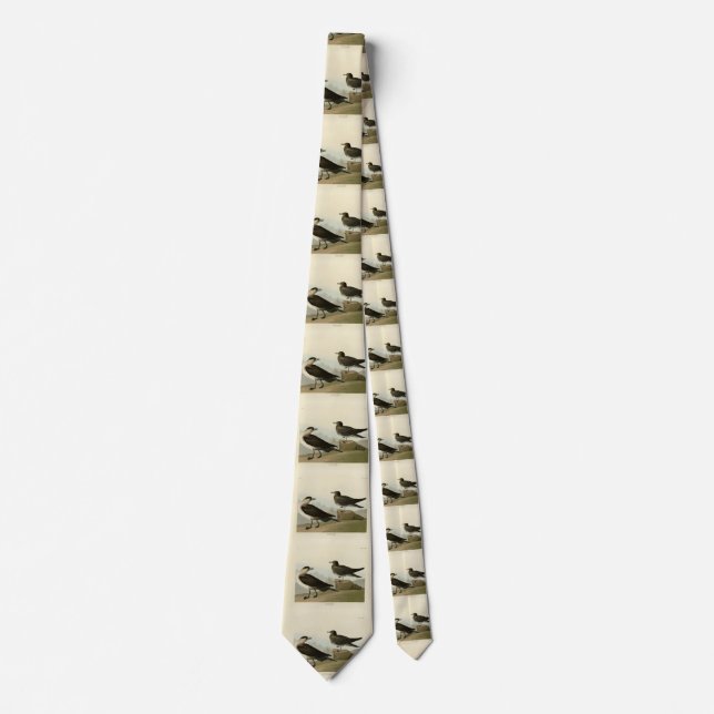 Richardson's Jager from Audubon's Birds of America Tie (Front)