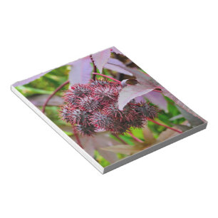 Ricinus communis notepad