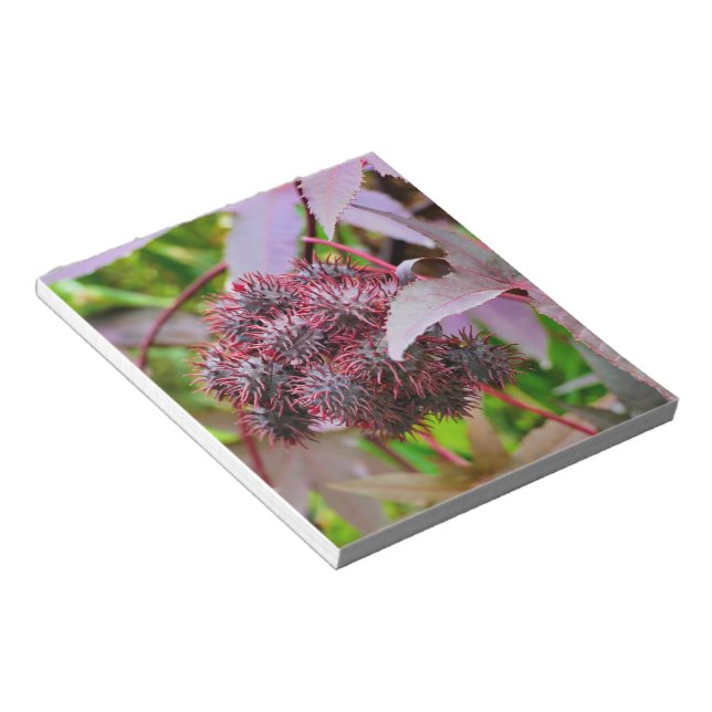 Ricinus communis notepad (Angled)