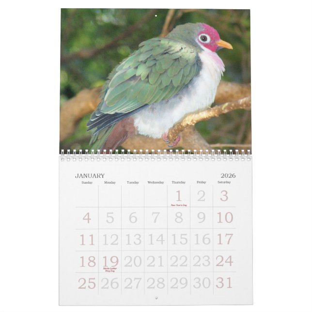 Rick's Wild Bird Calendar 2007 (Jan 2026)