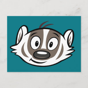 Ricky Racoon Boomer Badger Face Postcard