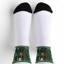 Rico and Timothy Socks