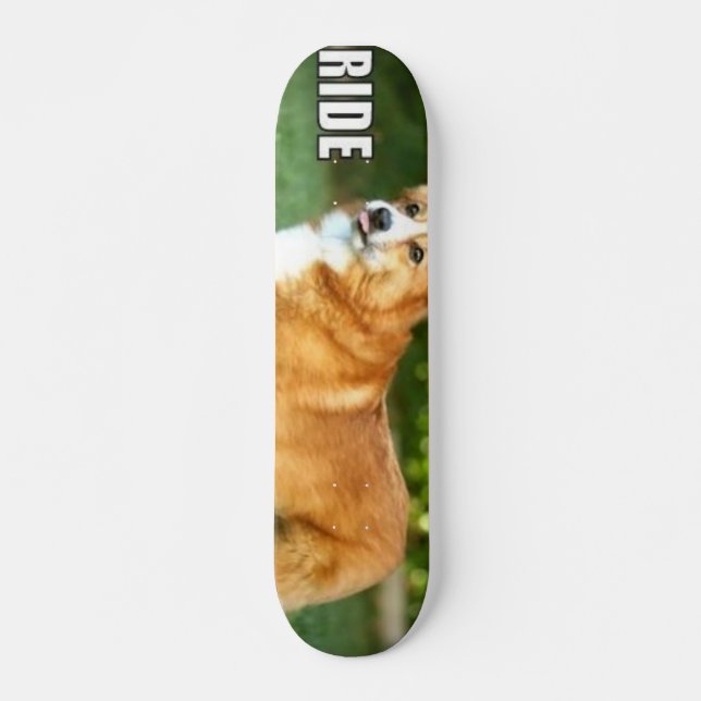 Ride For The Corgi Skateboard (Front)