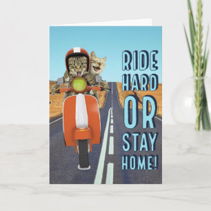 Ride Hard or Stay Home - Cats on a Moped Card