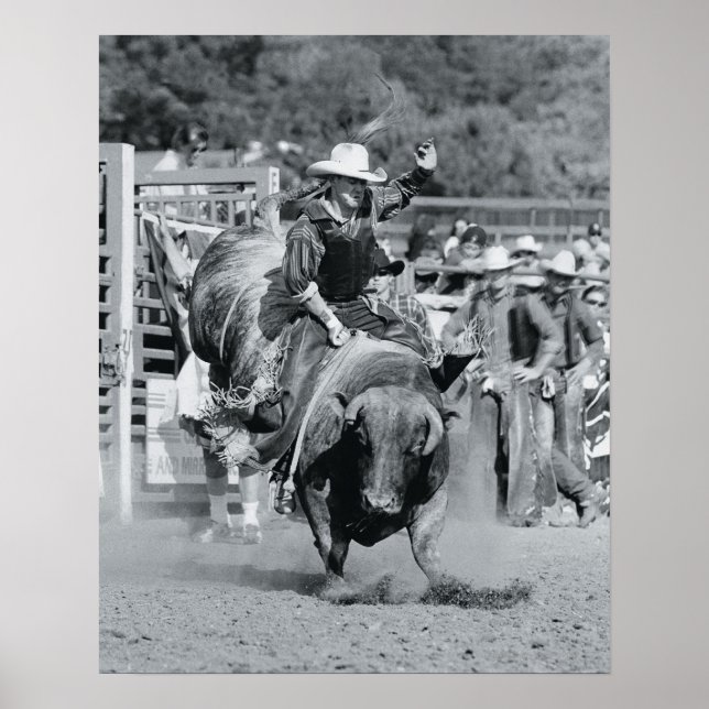 Rider hanging on to bucking bull poster (Front)