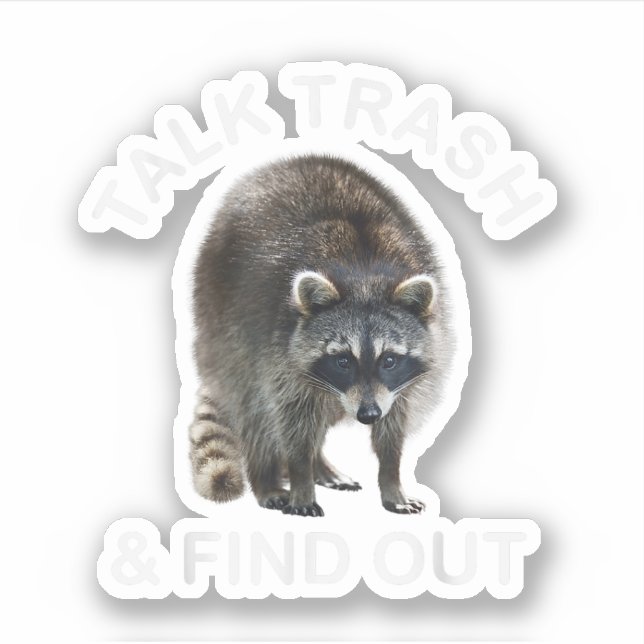 Ridiculous Racoon & Racoon Clothes Talk Trash an (Front)