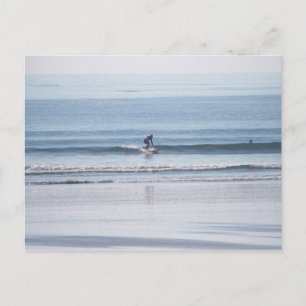 Riding a Wave! Postcard