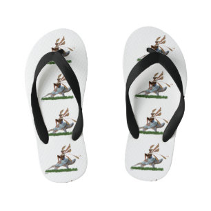 Riding On Turtle Flip Flops