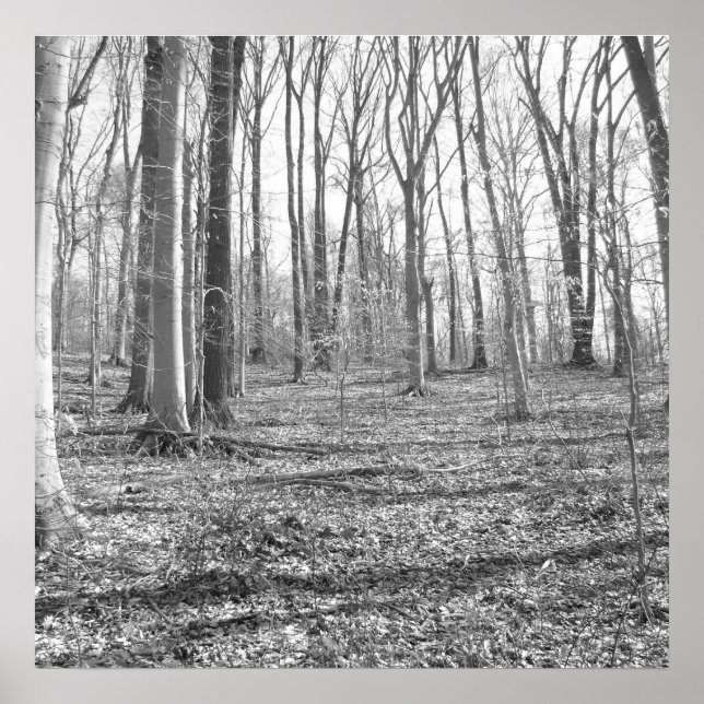 Ridley Creek State Park Poster (Front)