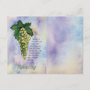 Riesling White Wine Grapes Postcard