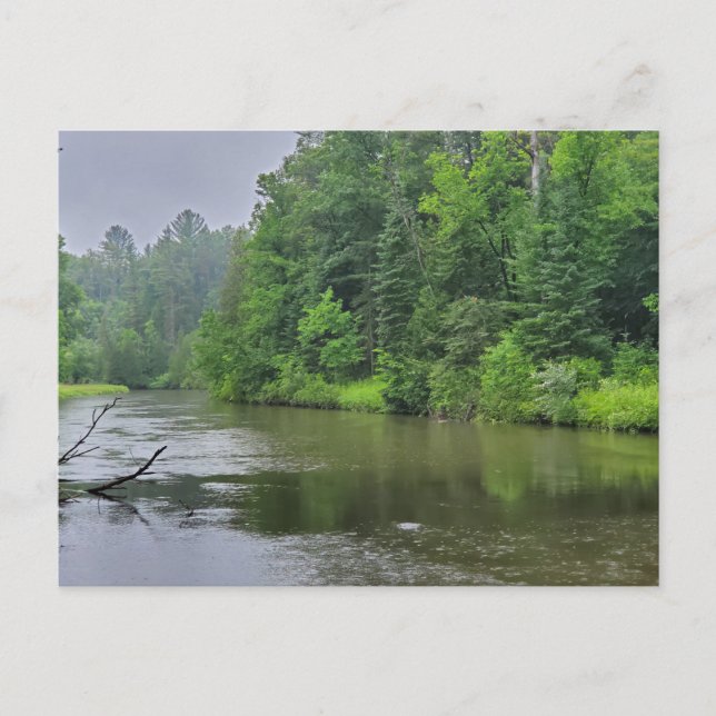 Rifle River, West Branch, Michigan Postcard (Front)