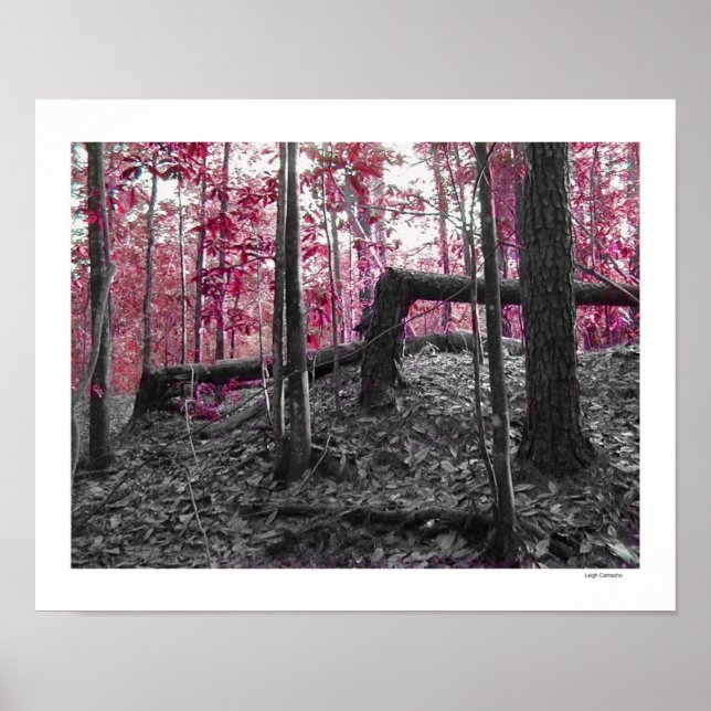 Right Angles Poster (Front)