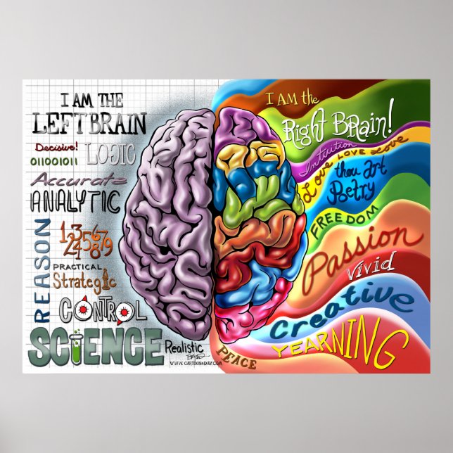 Right Brain Left Brain Poster (Front)