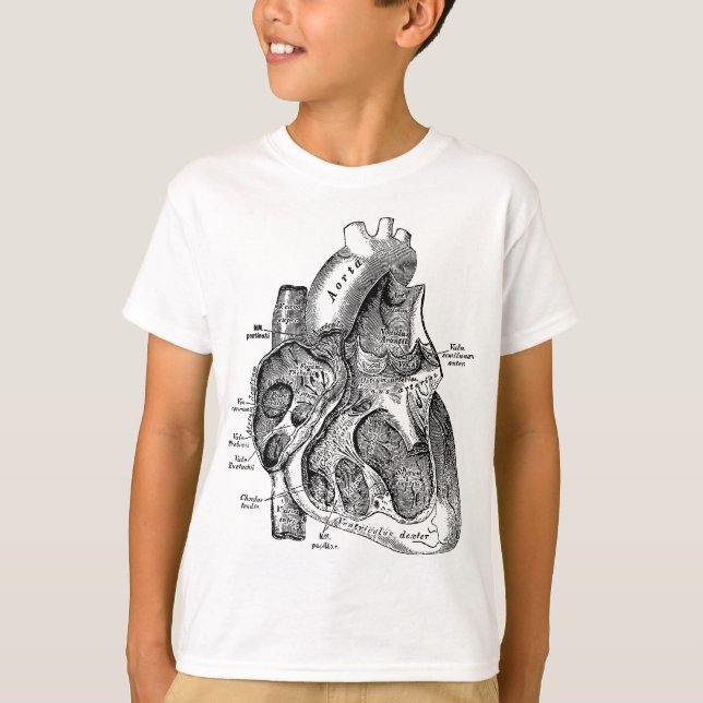 Right Chamber of the Human Heart Anatomy Tee (Front)
